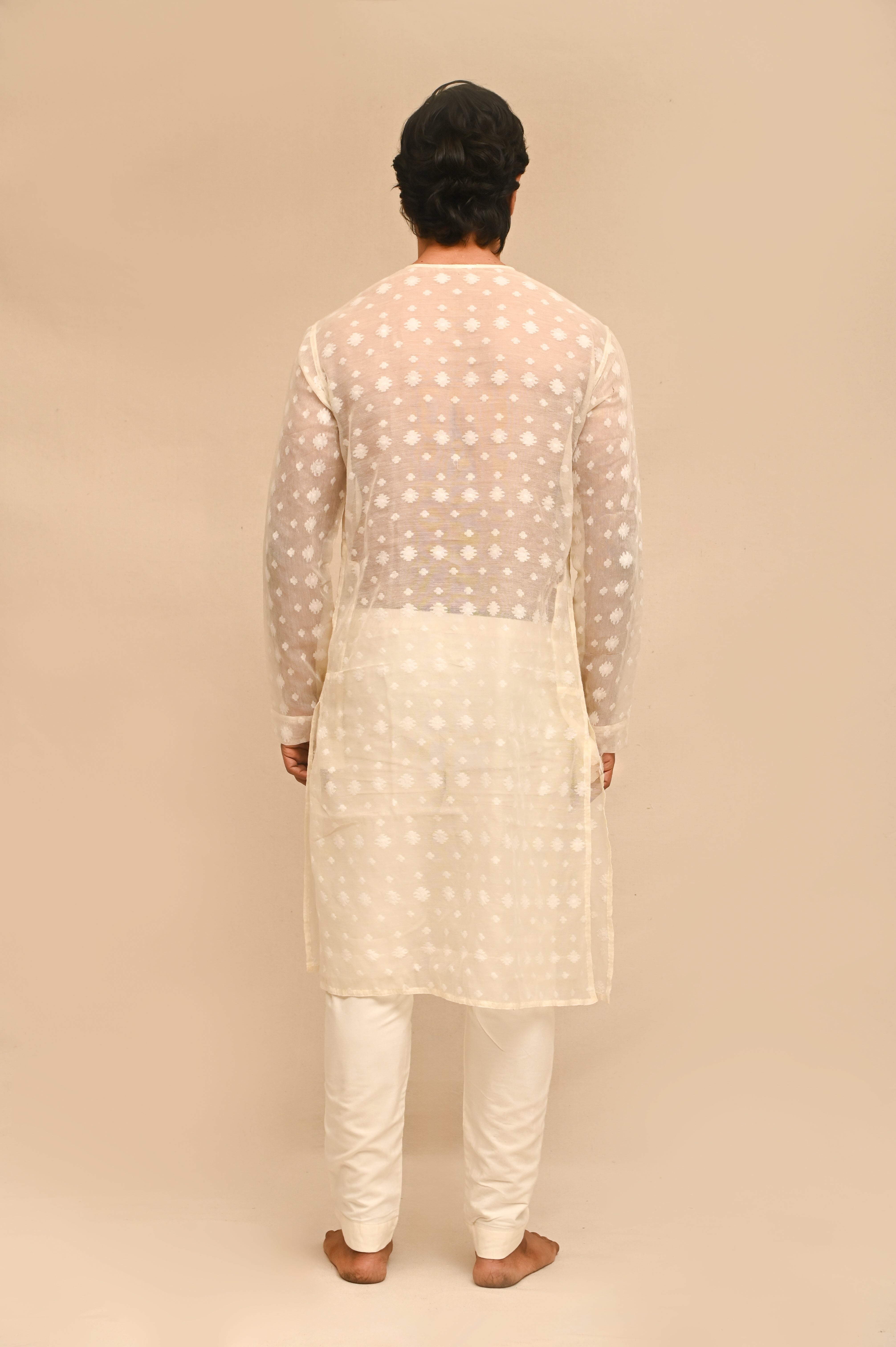 Jamdani Punjabi