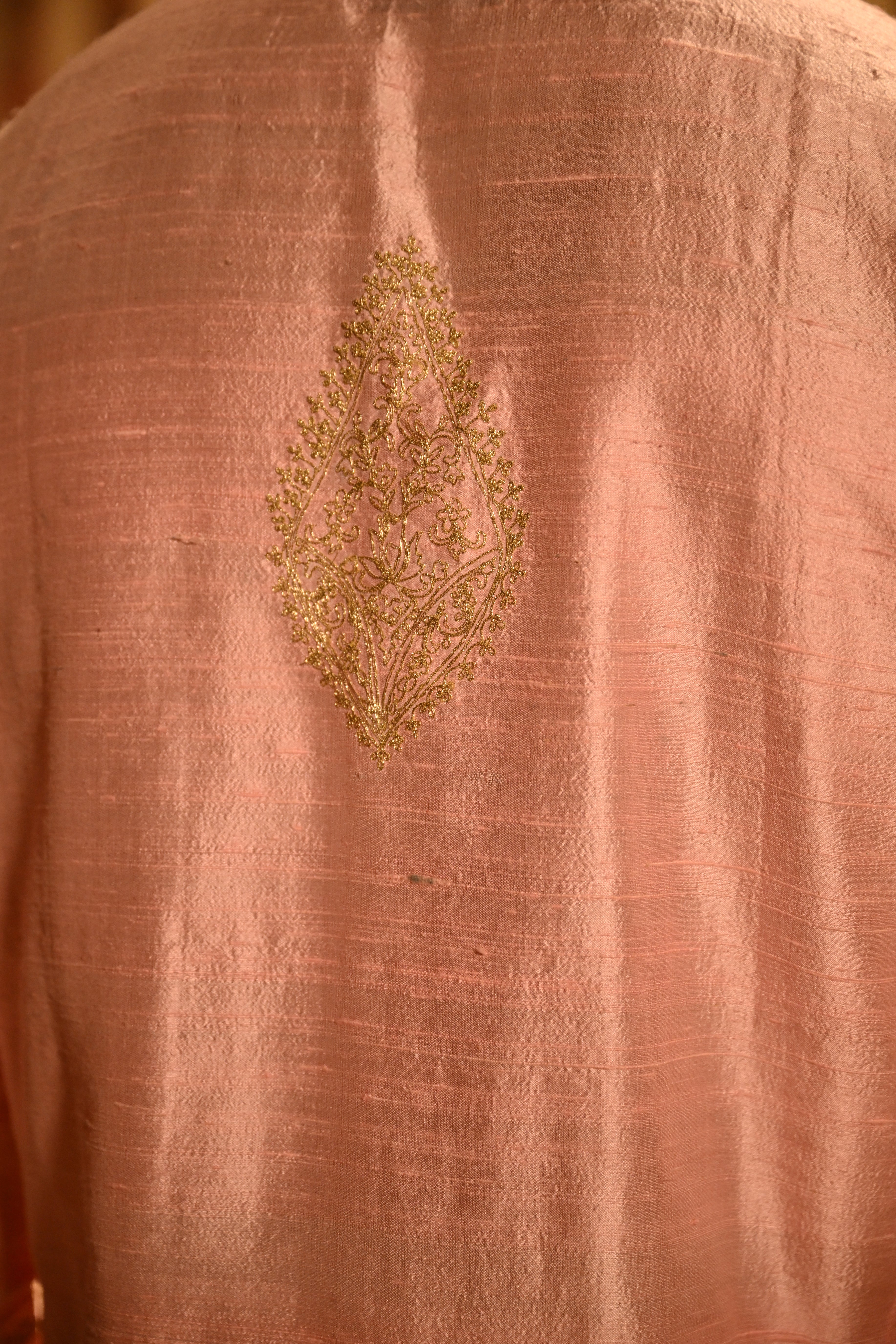 Raw Silk Punjabi
