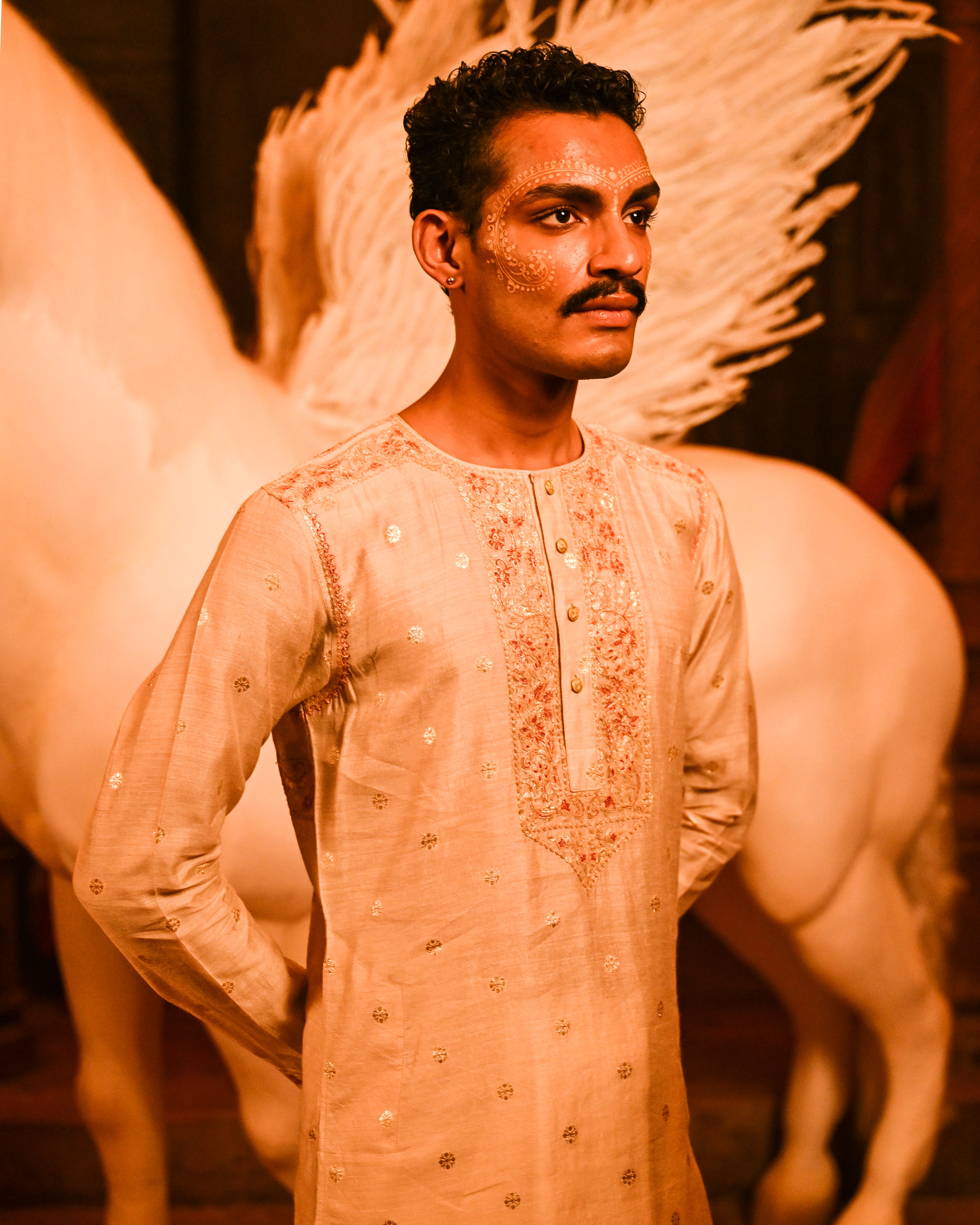Tussar Punjabi