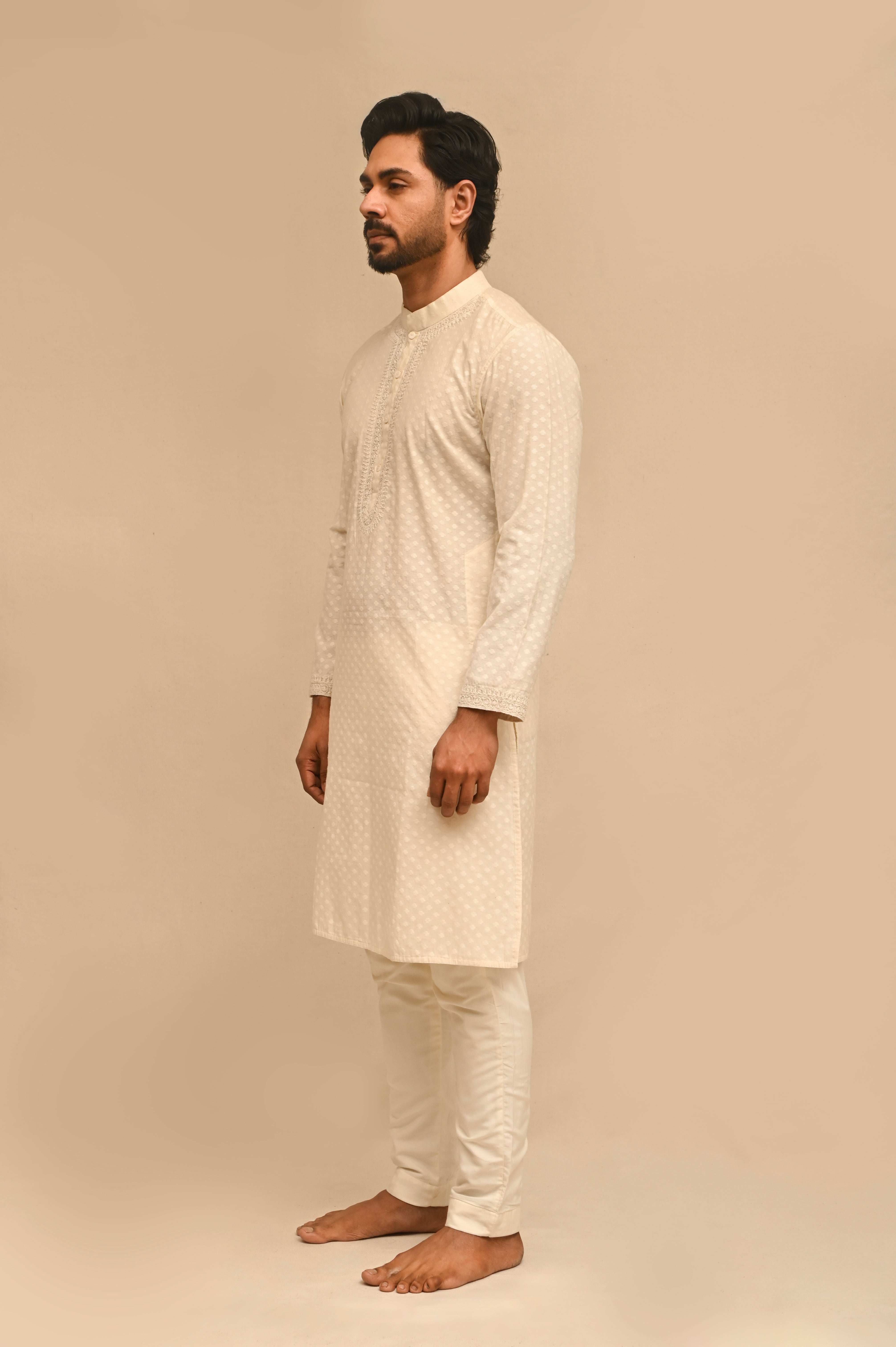 Chanderi Cotton Punjabi