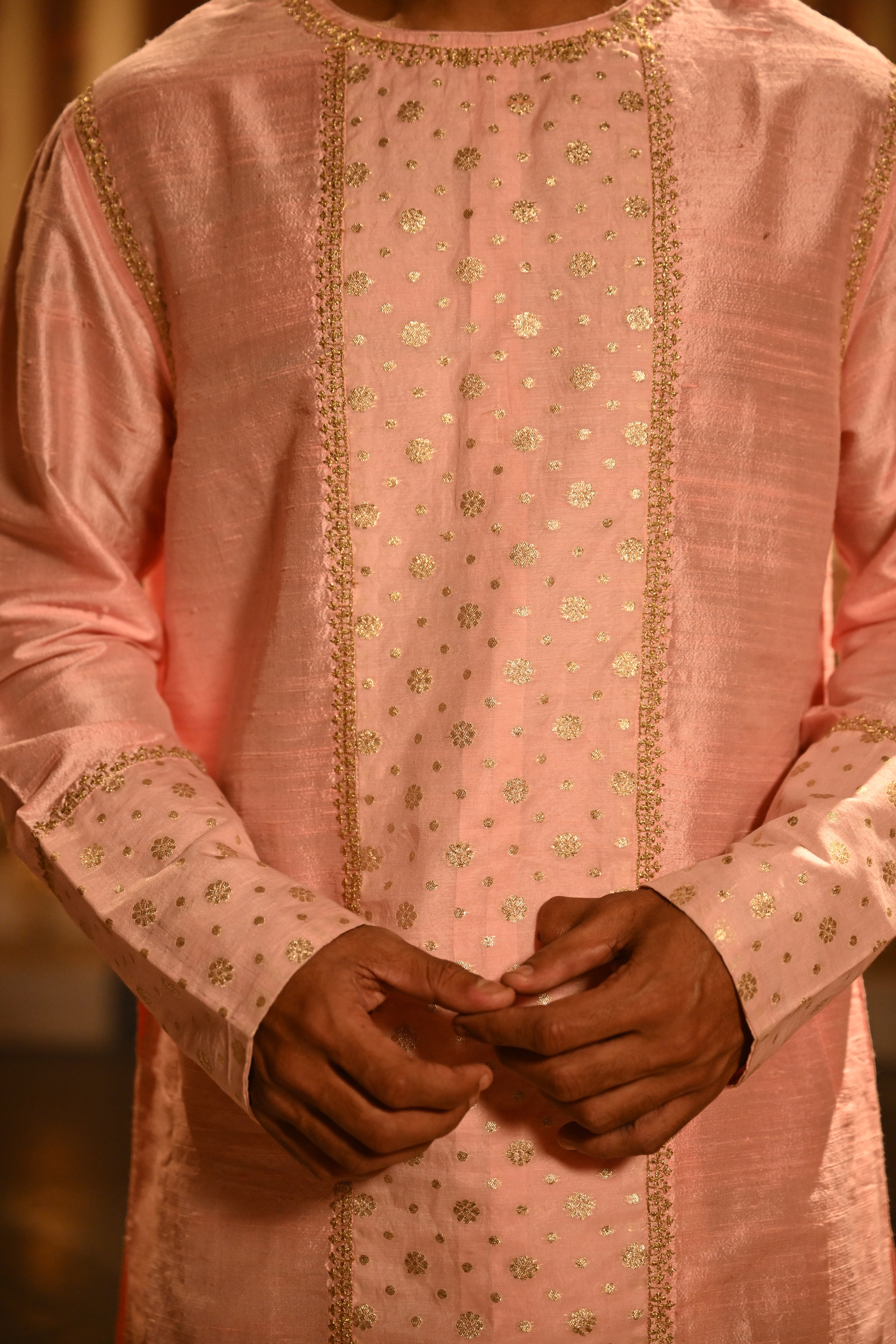 Raw Silk Punjabi